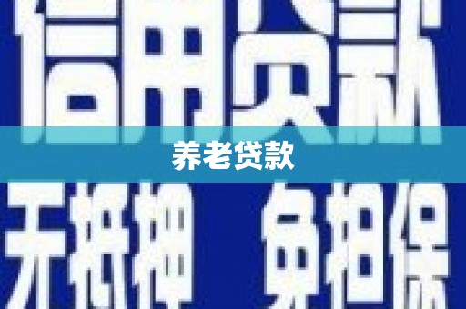 九龙养老贷款