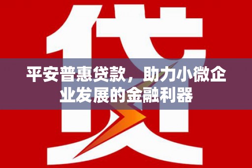 九龙平安普惠贷款，助力小微企业发展的金融利器