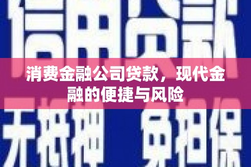 九龙消费金融公司贷款，现代金融的便捷与风险