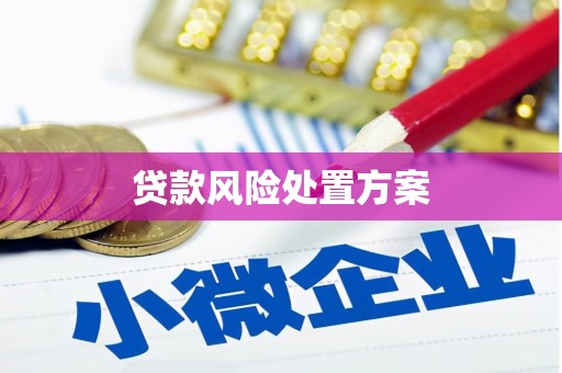 九龙贷款风险处置方案