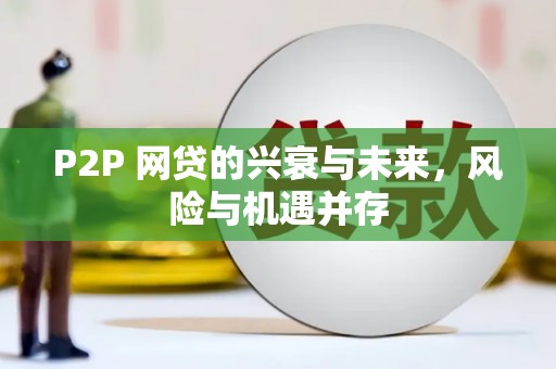 九龙P2P 网贷的兴衰与未来，风险与机遇并存