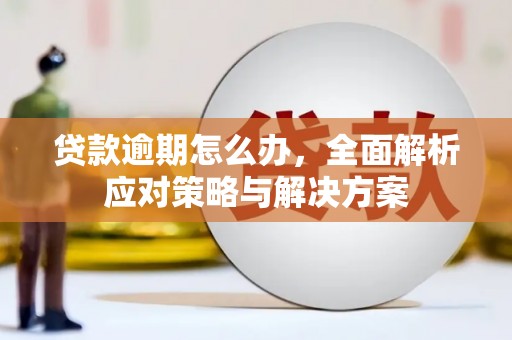 九龙贷款逾期怎么办，全面解析应对策略与解决方案