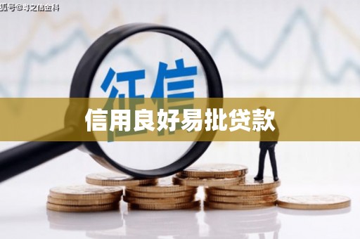 九龙信用良好易批贷款