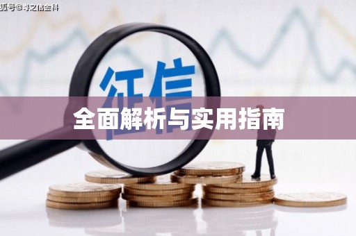 九龙全面解析与实用指南