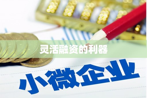 九龙灵活融资的利器