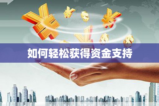 九龙如何轻松获得资金支持