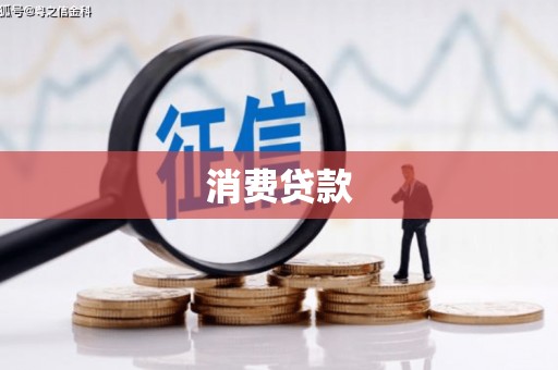 九龙消费贷款