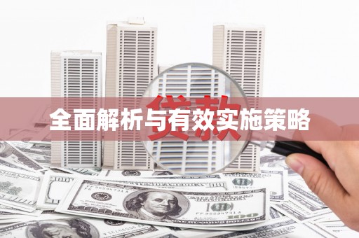 九龙全面解析与有效实施策略