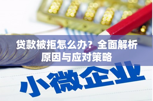 九龙贷款被拒怎么办？全面解析原因与应对策略