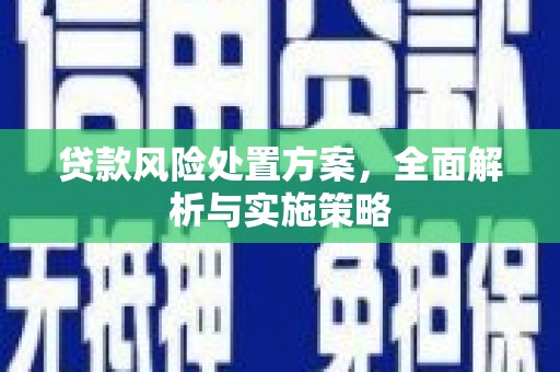九龙贷款风险处置方案，全面解析与实施策略