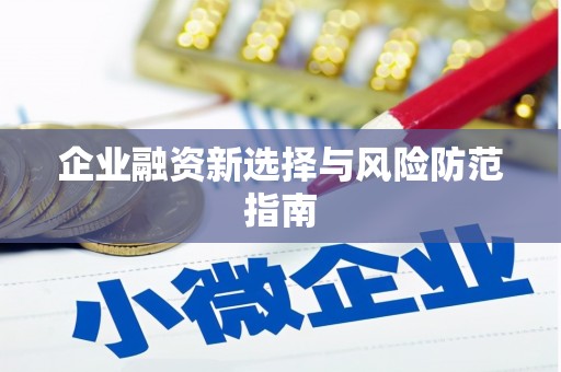 九龙企业融资新选择与风险防范指南