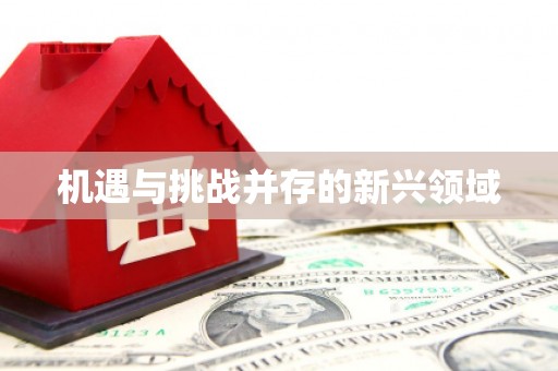 九龙机遇与挑战并存的新兴领域