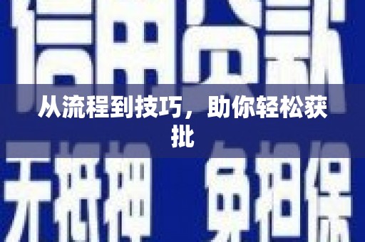 九龙从流程到技巧，助你轻松获批