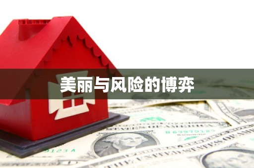 九龙美丽与风险的博弈