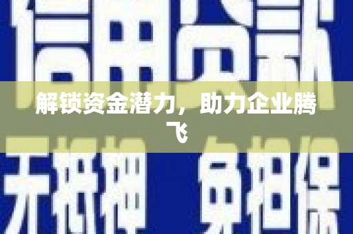 九龙解锁资金潜力，助力企业腾飞