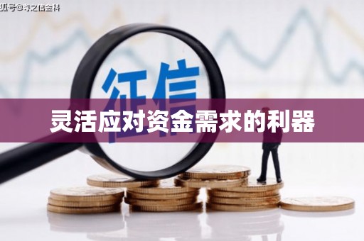 九龙灵活应对资金需求的利器