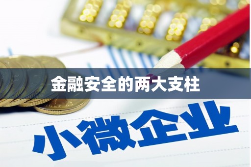 九龙金融安全的两大支柱
