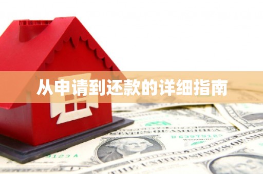 九龙从申请到还款的详细指南