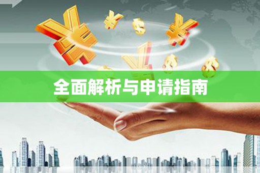 九龙全面解析与申请指南