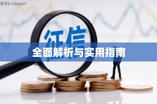 九龙全面解析与实用指南