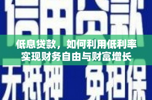 九龙低息贷款，如何利用低利率实现财务自由与财富增长