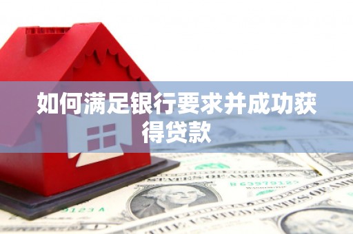 九龙如何满足银行要求并成功获得贷款