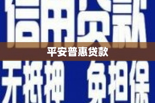 九龙平安普惠贷款