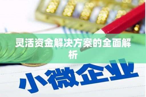 九龙灵活资金解决方案的全面解析