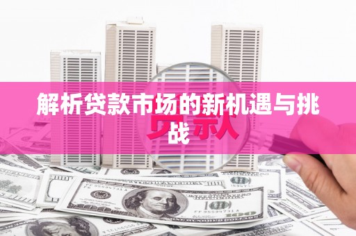 九龙解析贷款市场的新机遇与挑战