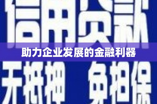 九龙助力企业发展的金融利器